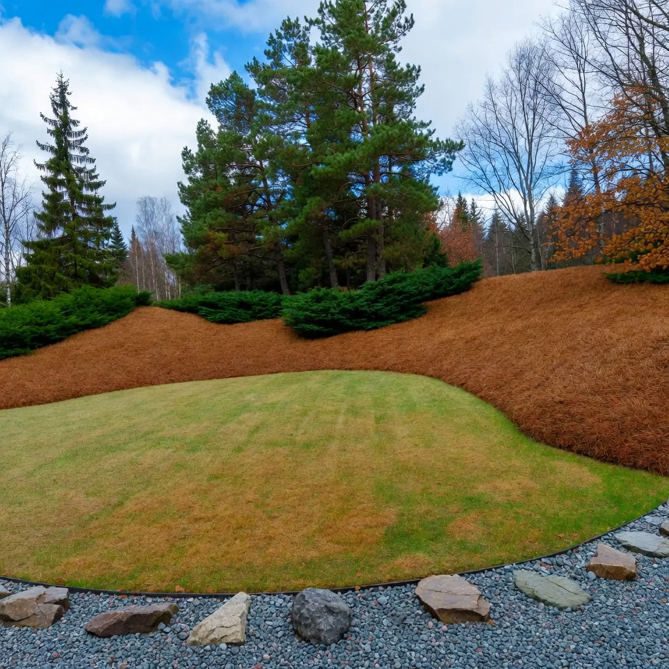 Peenarde hooldus – rohimise ja multšimise lihtne süsteem