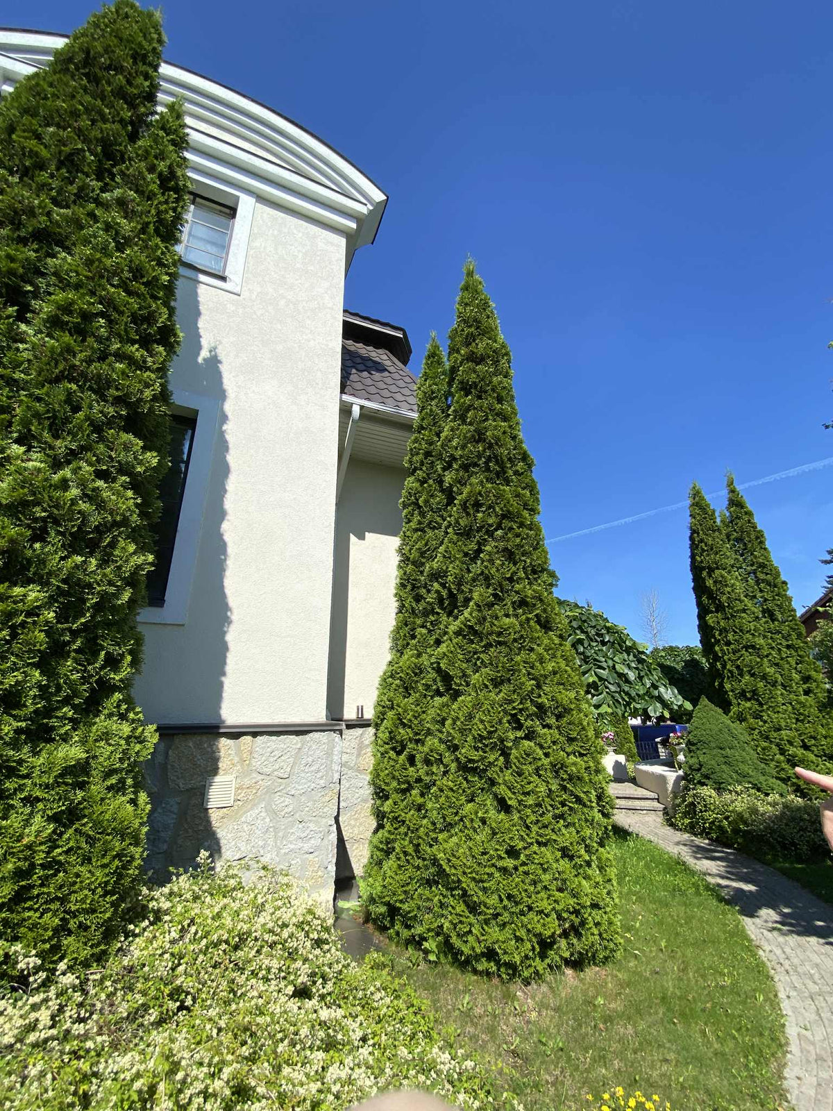 Ärihoonete ja kortermajade haljastus