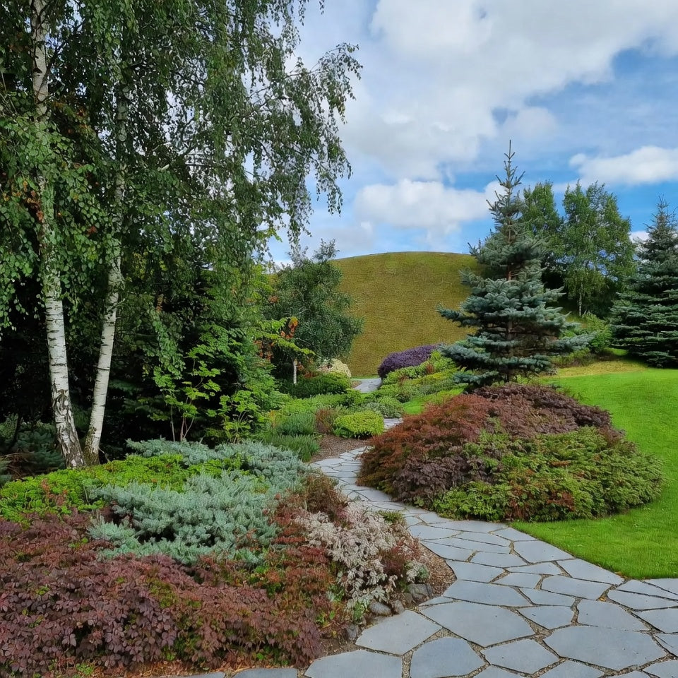 Taimede istutamine ja hooldamine